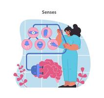 Senses concept illustration. A visual exploration of the five senses connected to brain function. vector