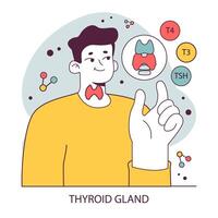 Endocrine system organ and disease. Human gland function. Thyroid vector