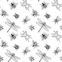 Vector seamless black and white pattern of different hand drawn doodle isolated insects