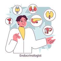 endocrinología. endocrino sistema órganos, páncreas tiroides glándula, pituitaria vector