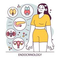 endocrinología. endocrino sistema órganos, páncreas tiroides glándula, pituitaria vector