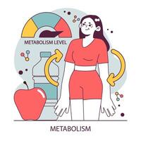 Endocrine system function. Cellular metabolism. Biochemical reaction vector