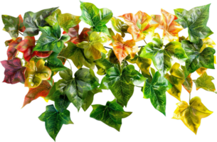 AI generated Variegated Ivy Leaves Against png