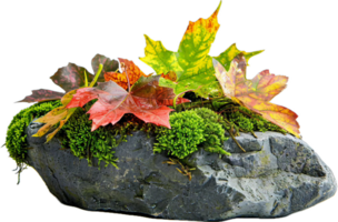 AI generated Autumn Leaves on Mossy Rocks png