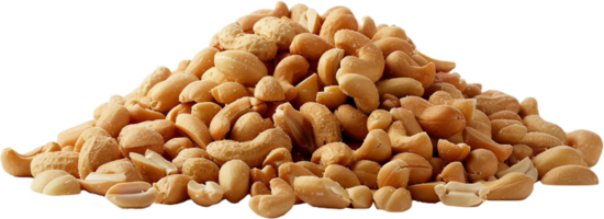 AI generated Salted Roasted Cashew Nuts Heap png