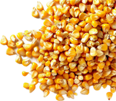 AI generated Vibrant Yellow Corn Kernels Cascade png