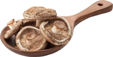 ai gegenereerd droog shiitake champignons en poeder Aan houten lepel PNG