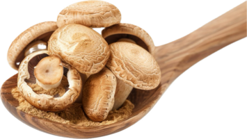 AI generated Dried Shiitake Mushrooms and Powder on Wooden Spoon png