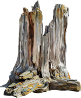 AI generated Weathered Log with Peeling Bark Texture png