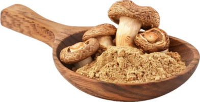 AI generated Dried Shiitake Mushrooms and Powder on Wooden Spoon png