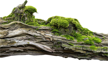 AI generated Moss Covered Log in Natural Setting with AI generated. png