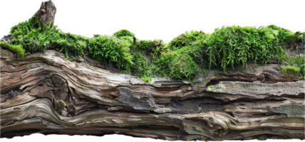 AI generated Moss Covered Log in Natural Setting with AI generated. png