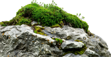 AI generated Rock Formation with Green Vegetation png