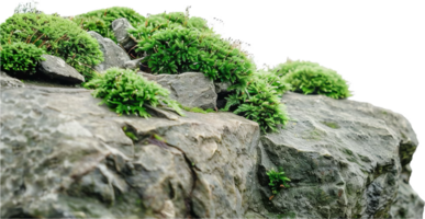 ai gegenereerd rots vorming met groen vegetatie PNG