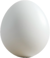 AI generated Single White Egg png