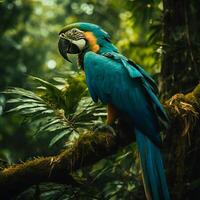 ai generado vibrante guacamayo encaramado en un rama en el bosque foto