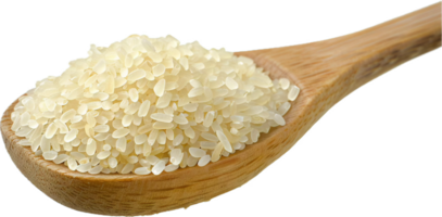 ai gerado branco arroz grãos em de madeira colher png