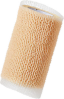 ai generato naturale luffa spugna png