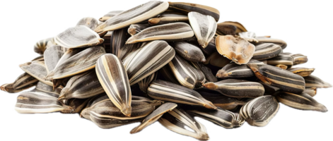 AI generated Pile of Sunflower Seeds png