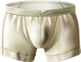 AI generated Men's Plaid Boxer Shorts png
