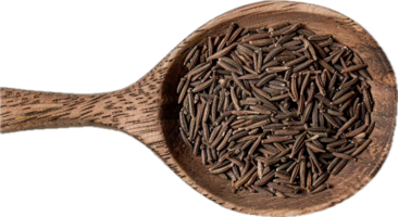 AI generated Fennel Seeds in Wooden Spoon png