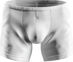 ai généré Pour des hommes plaid boxeur short png