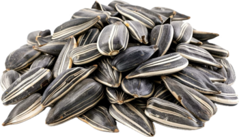 AI generated Pile of Sunflower Seeds png