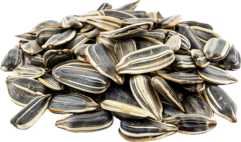 AI generated Pile of Sunflower Seeds png
