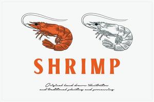 hand drawn shrimp vector illustration