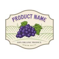 vector design of grapes on the farm hand drawn