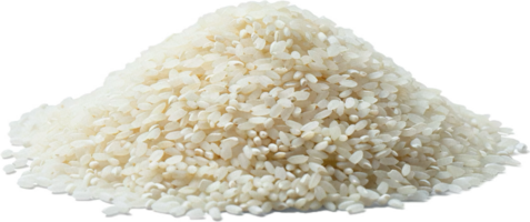 ai gerado amontoar do cru branco arroz png