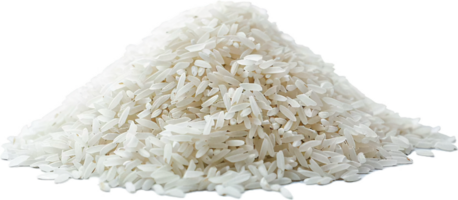ai generato mucchio di crudo bianca riso png