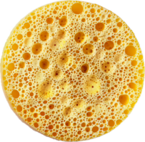 AI generated Circular Sponge with Pores png