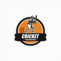 Team Club Cricket Badge Logo Template Vector
