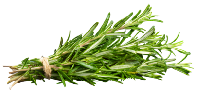 AI generated Fresh rosemary branch png