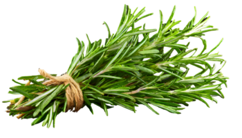 AI generated Fresh rosemary branch png