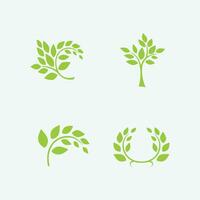 vector de diseño de logotipo de hoja para plantilla de símbolo de naturaleza editable, icono de vector de elemento de naturaleza de ecología de logotipo de hoja verde.