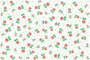 Illustration, pattern of rose flower with leaf on white background. vector