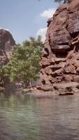 weerspiegeling van Grand Canyon in Colorado River video