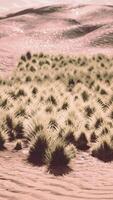 Mohave Desert landscape with blue cloudy skies video