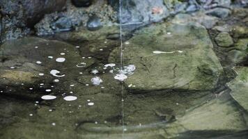 Wasser Tropfen auf ein Ruhe rein Wasser video