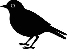 AmericanRobin black silhouette vector