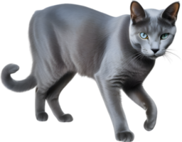 AI generated Colored-pencil sketch of a Russian Blue cat. png