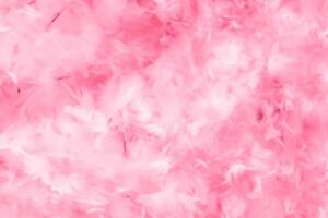 Beautiful abstract colorful white and pink feathers on white background and soft white red feather texture on pink pattern, pink background, valentine's day theme photo