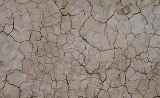 The soil cracked as a result of the drought, which was caused by the dry season drying out the ground. photo