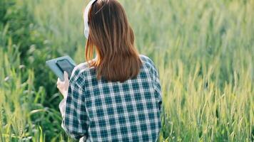 onderzoeker zijn test de kwaliteit van rijst- in de boerderij video