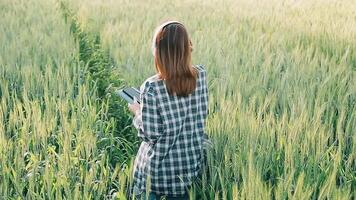 ricercatore siamo test il qualità di riso nel il azienda agricola video