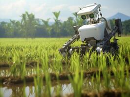 ai generado un robot es plantando arroz en el arroz campos. agricultura verde tecnología ai generativo foto