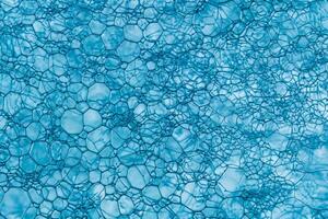 Blue Soap Bubbles, Abstract Macro Foam Background, Closeup Texture of Soap Foam photo