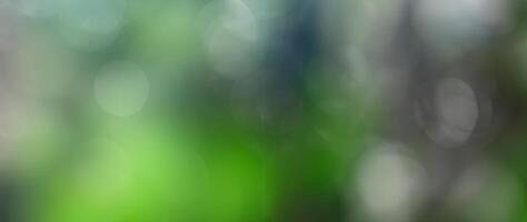 Abstract Bokeh Background, Defocused Elegance photo